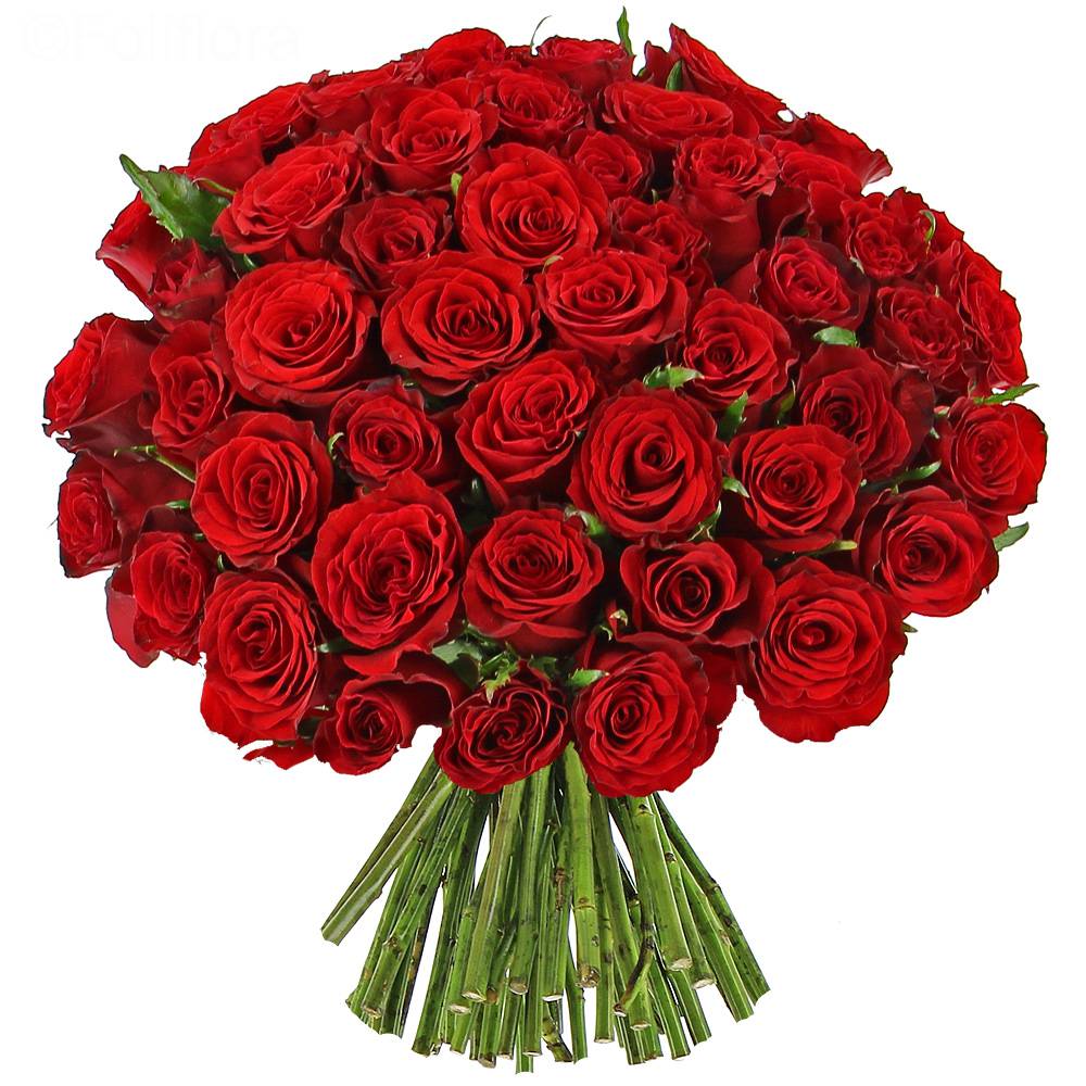 Bouquet de fleurs longue tige