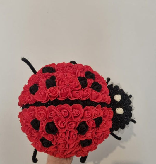 Coccinelle