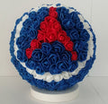 Ballon de foot