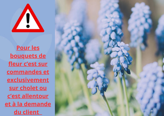 Bouquet de fleurs longue tige